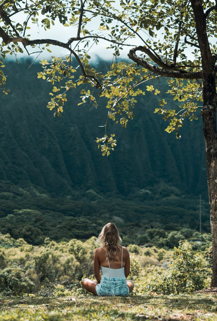 A woman sits in meditation under a tree, overlooking a tranquil mountain valley, embracing natures calm.